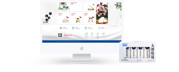 昆明奧遠科技 專業(yè)網(wǎng)站建設(shè)與新媒體運營服務(wù)專家